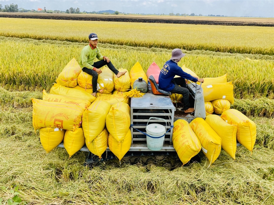Nâng cao chất lượng nông sản Việt