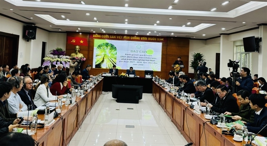 Giải pháp thực hiện Chiến lược phát triển Lâm nghiệp Việt Nam trong bối cảnh mới